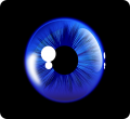 8767 deep blue eye design