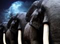 lphant.jpg