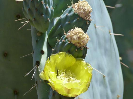 marrakech-25.jpg