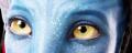 neytiri_eyes.jpg