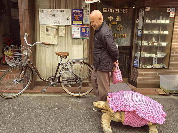 Obaji tortue geante tokyo 3