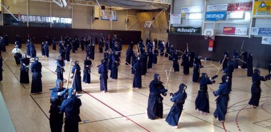 Tlse kendo nov14 02