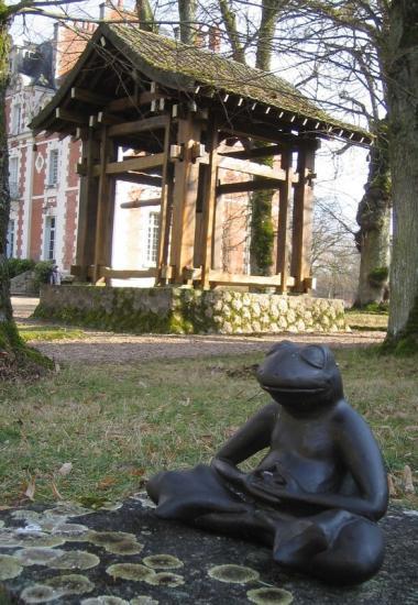 zazen_grenouille.jpg